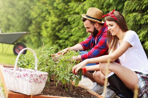 Customer complaint review for garden service