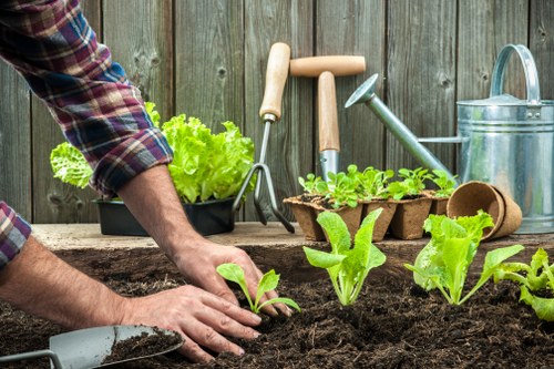 Supplier audit and compliance review in gardening services