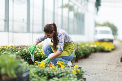Illustration representing accessible Gardeners Addiscombe website content