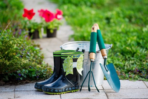 Watering and maintaining a garden lawn in Addiscombe