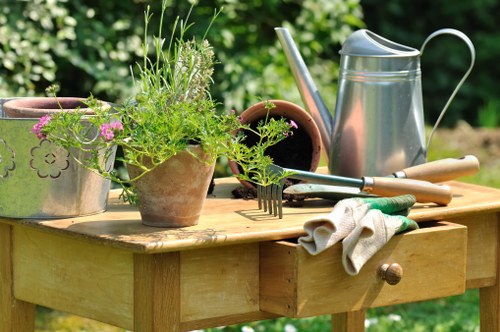 Professional garden maintenance in Addiscombe for a neat outdoor space