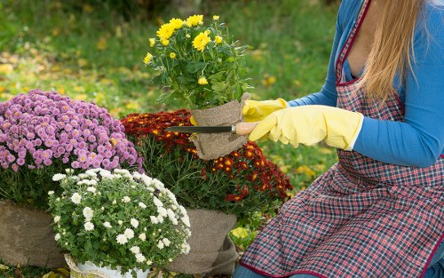 SSL encrypted Gardeners Addiscombe payments and card security
