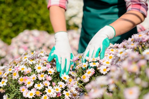 Escalation stage in a gardening complaints process