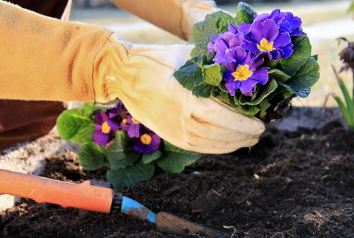 Performance monitoring and analytics cookies for Addiscombe gardeners