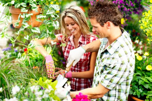 Risk assessment process for safe gardening in Addiscombe