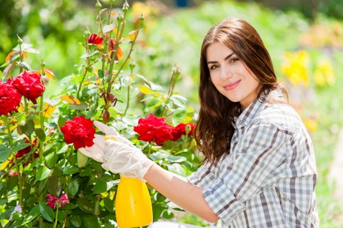 Professional garden maintenance in Addiscombe with tidy hedges