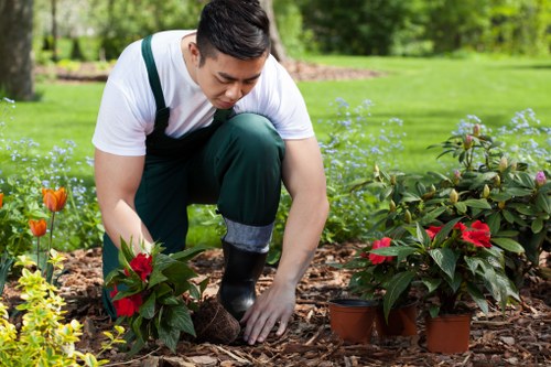 Addiscombe garden maintenance and planting care in a residential outdoor space