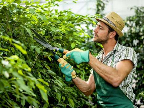 Ethical supply chain and worker protection for Addiscombe gardeners