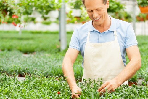 Regular grass cutting service for Addiscombe properties