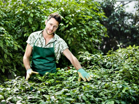 Booking and service confirmation for garden maintenance