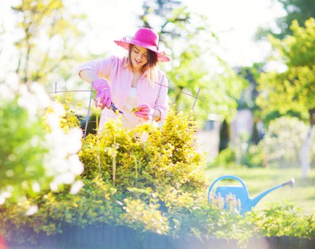 Local gardeners maintaining borders and lawn care in Addiscombe