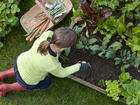 Separated garden materials prepared for local recycling collection