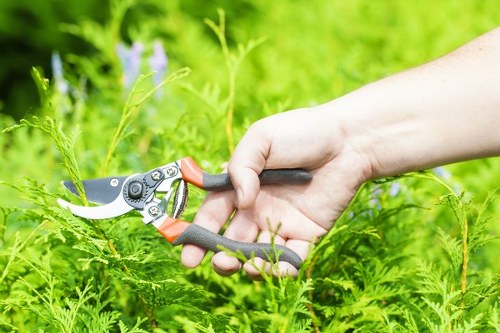Reliable and insured garden maintenance service in Addiscombe