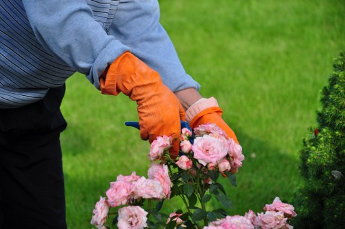Lawn care and pruning services for Addiscombe gardens