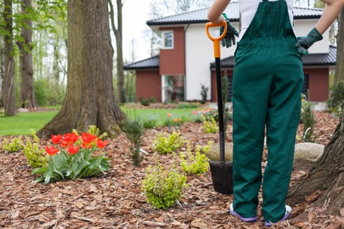 Professional tree pruning and maintenance in Addiscombe residential area