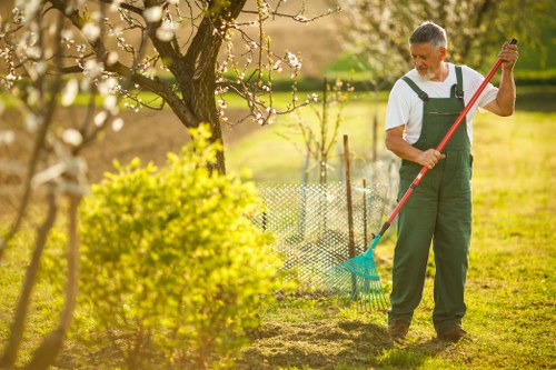 Autumn garden maintenance in Addiscombe with leaf clearance and hedge trimming