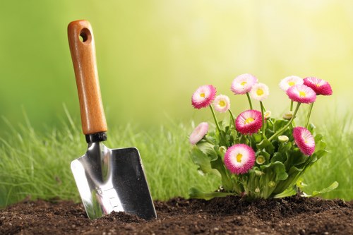 Example of garden maintenance pricing for a terraced property in Addiscombe