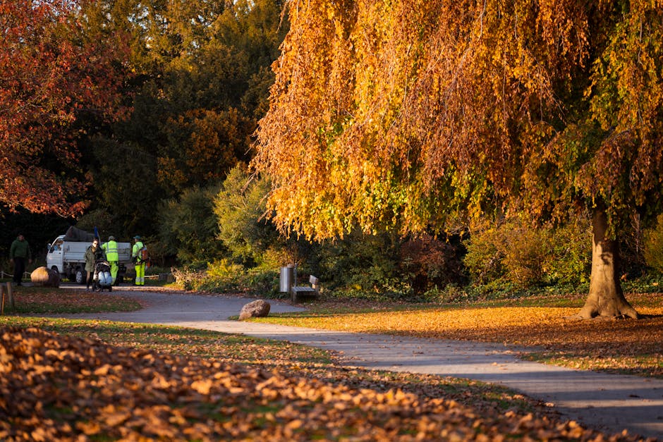 A serene park scene during autumn featuring a large deciduous tree with vibrant orange and yellow leaves, some of which have fallen onto the paved pathway and grassy areas below. The pathway curves ge