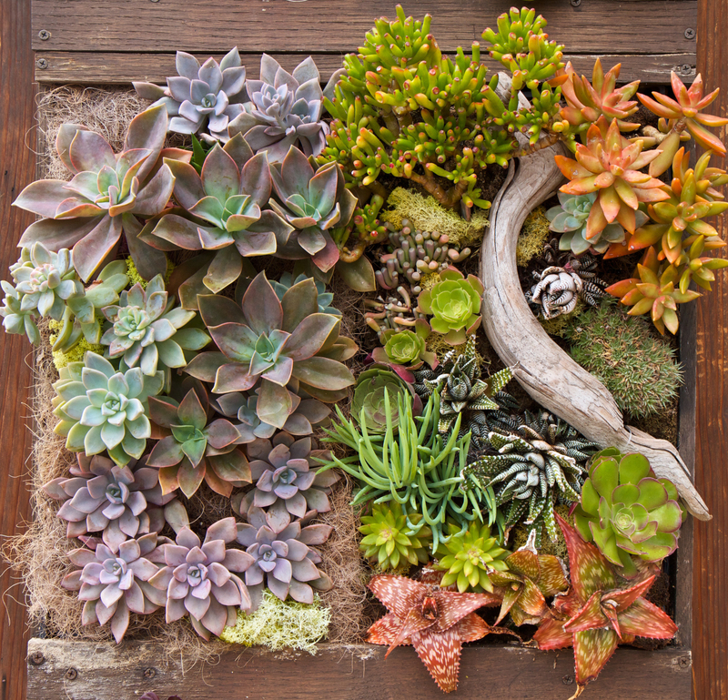 garden maintenance garden design